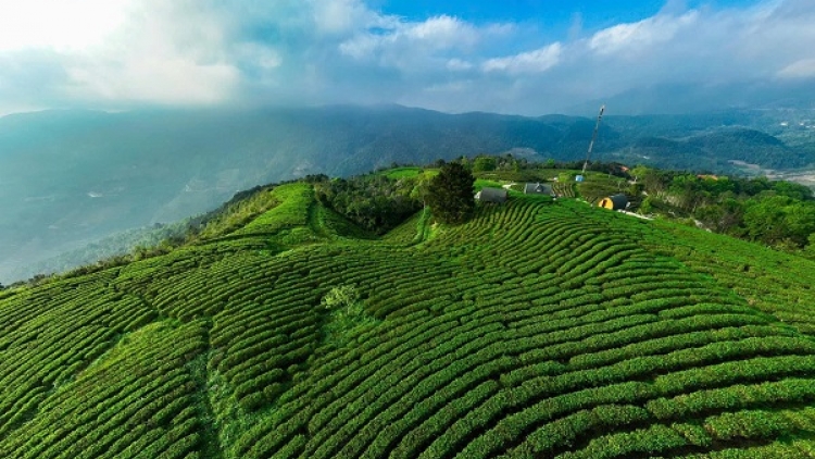 OCOP Cao Bằng: Hành trình từ sản vật địa phương đến sản phẩm giá trị cao (15/04/2026)