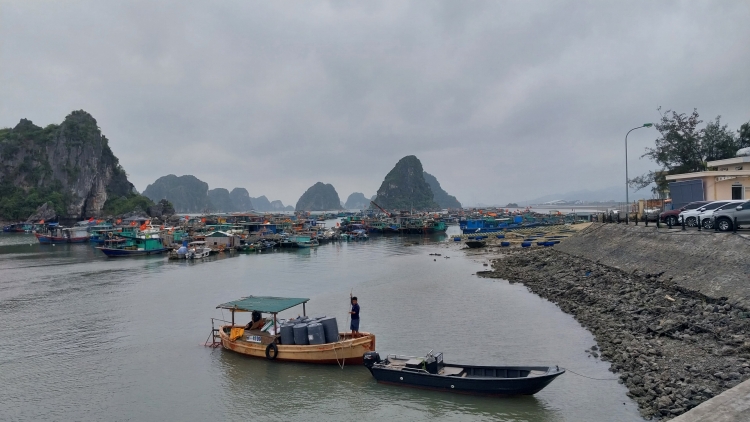 Quảng Ninh: Chống khai thác IUU