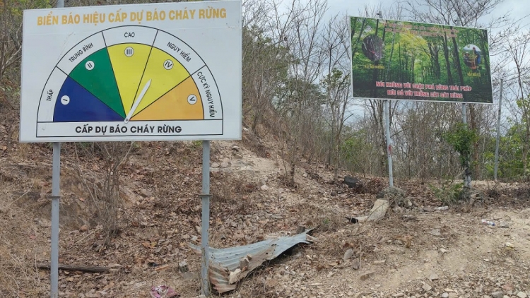 Lâm Đồng chủ động giữ rừng trong cao điểm mùa khô