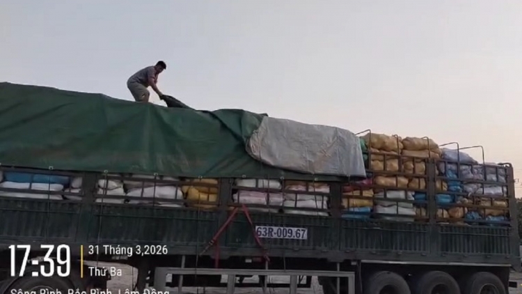 Xe chở quá khổ trên cao tốc bị xử phạt hơn 40 triệu đồng