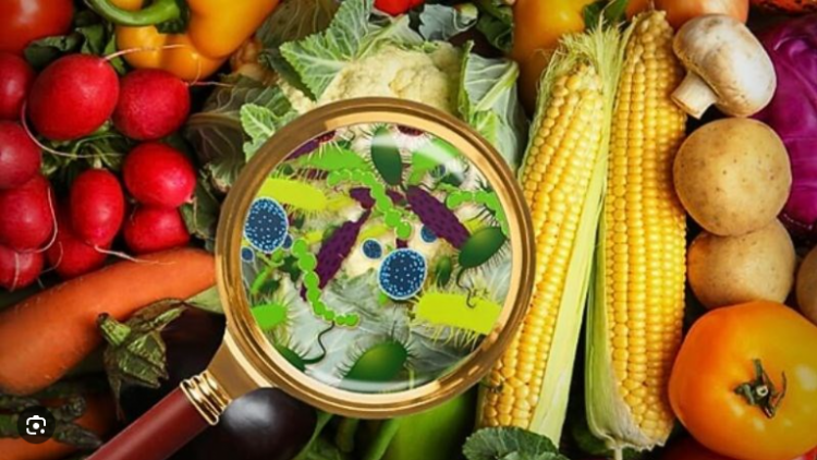 Phòng ngừa nguy cơ ngộ độc thực phẩm trong mùa nắng nóng và dịp lễ hội
