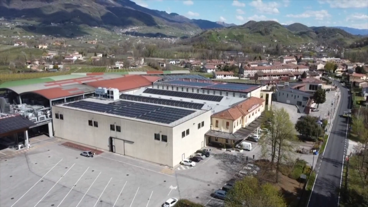 Ngành rượu vang Italia điêu đứng trước làn sóng xung đột tại Trung Đông