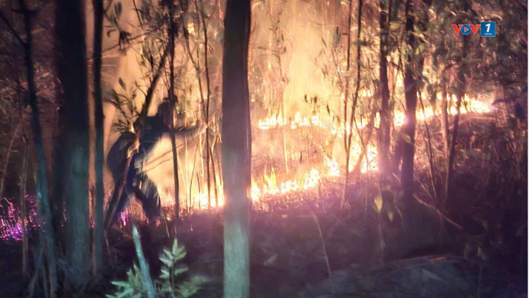 Huế giữ rừng giữa cao điểm nắng nóng đặc biệt gay gắt