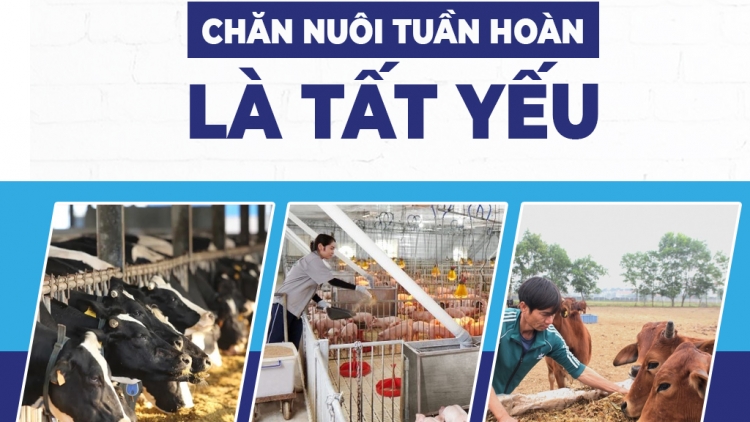 Chăn nuôi xanh áp lực hay cơ hội