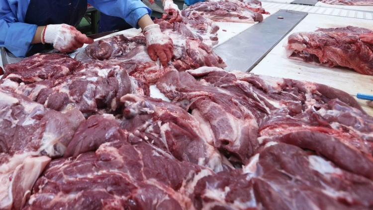 Thịt lợn được thí điểm niêm yết và giao dịch trên Sở Giao dịch hàng hóa Việt Nam