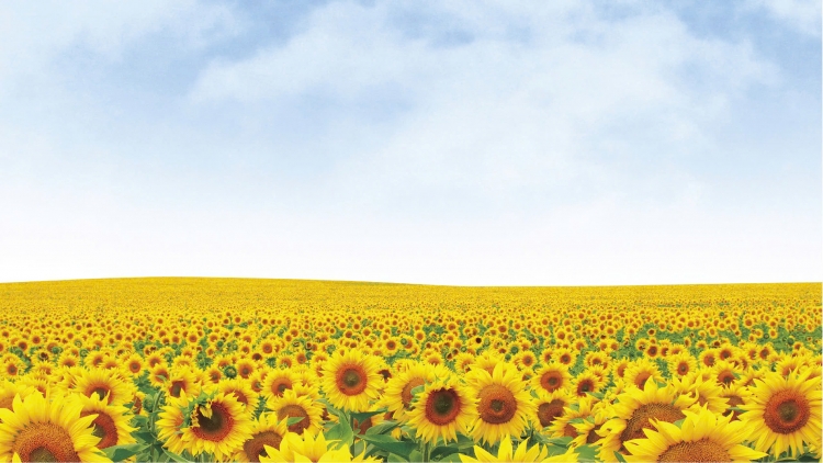 Viện Dinh dưỡng Quốc gia tăng cường hợp tác với Tập đoàn TH phát triển sản phẩm dinh dưỡng