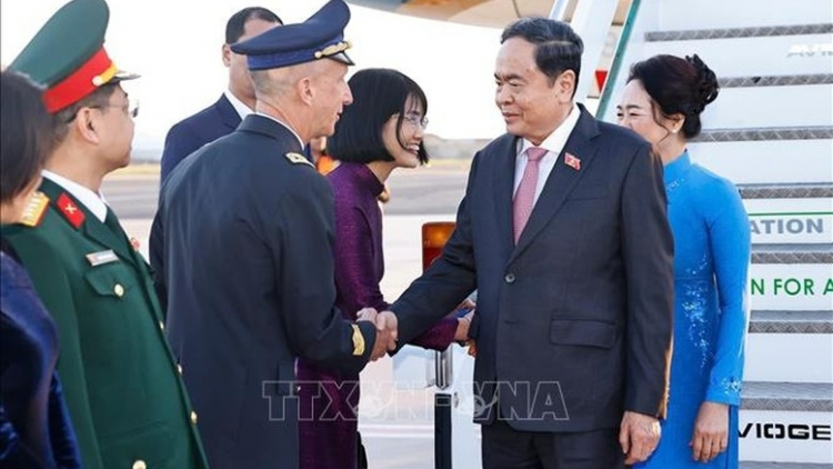 Bản tin 15h 11/4/2026