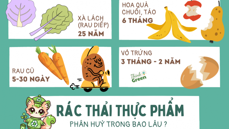 Theo dòng thời sự sáng 11/4/2026