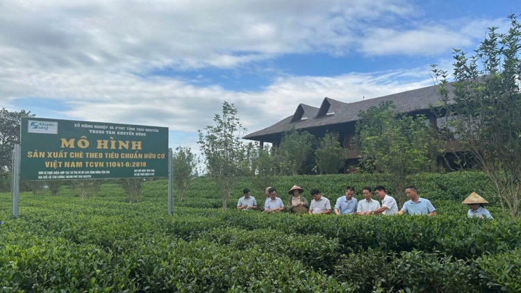 Chủ động nâng cao vị thế nông sản trên thị trường toàn cầu (08/04/2026)