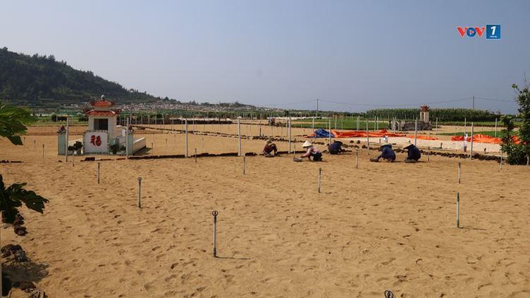 Thời sự 21h30 19/4/2026: Đảo Lý Sơn lo thiếu nước sinh hoạt và sản xuất nông nghiệp