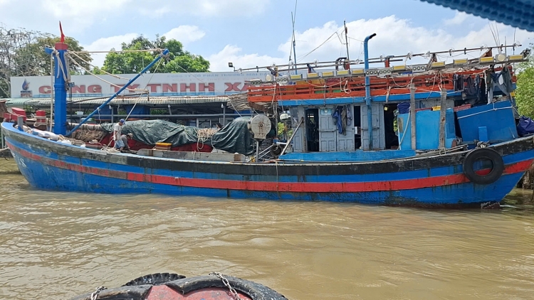 Đồng Tháp: Triển khai lộ trình sử dụng nhiên liệu sinh học   