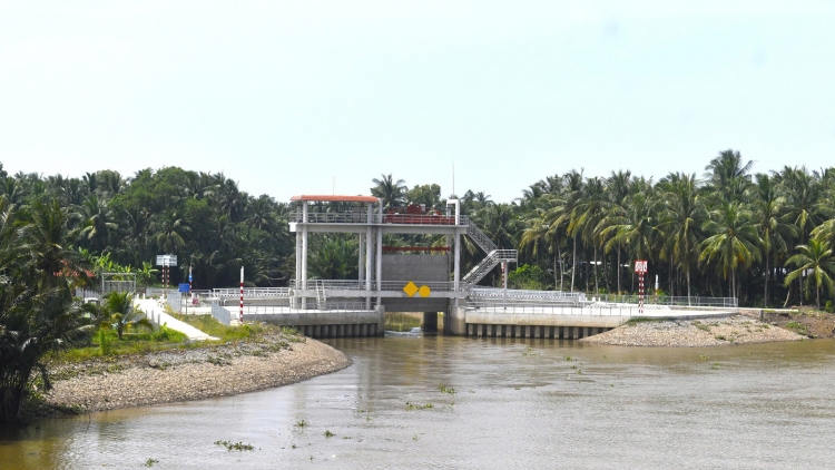  Vĩnh Long: Sẽ triển khai dự án kiểm soát nước Nam Bến Tre với 18 cống hở