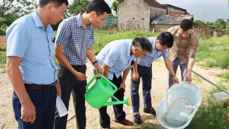 Hà Tĩnh: Tập trung ngăn chặn dịch sốt xuất huyết lây lan diện rộng