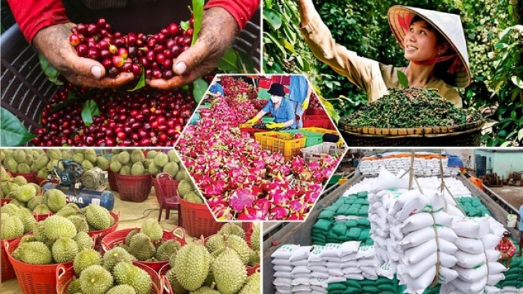 Khi nông sản Việt thiếu “tấm hộ chiếu” thương hiệu (29/05/2026)