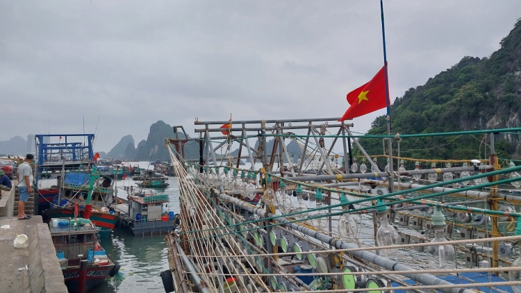 Quảng Ninh: Chuyển đổi nghề cho ngư dân, phát triển kinh tế biển bền vững