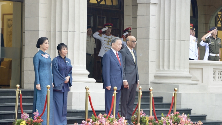 Thời sự 12h 29/5/2026:Lễ đón trọng thể Tổng Bí thư, Chủ tịch nước Tô Lâm thăm cấp Nhà nước Singapore