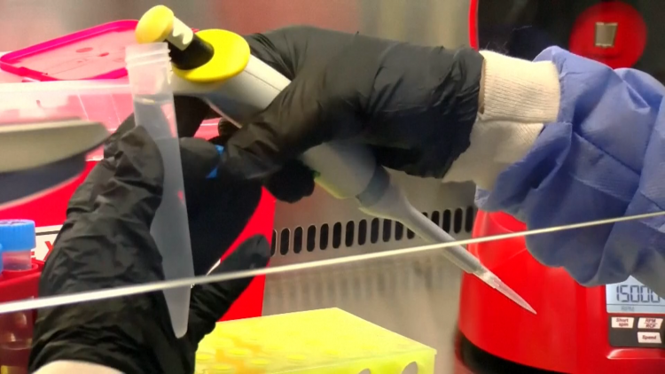 Argentina đối mặt với đợt bùng phát virus Hanta nghiêm trọng