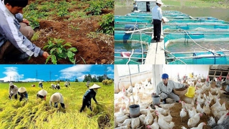 Thích ứng linh hoạt, nông nghiệp giữ nhịp tăng trưởng (12/5)