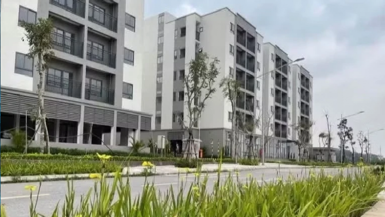 Bản tin 15h14/5/2026