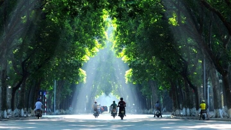 Dự báo thời tiết 1/6/2026: Bắc Bộ tăng nhiệt, chuẩn bị đón đợt nắng nóng mới