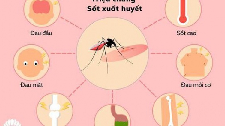 Nguy cơ bùng phát sốt xuất huyết tại TP.HCM, ngành y tế tăng tốc dập dịch