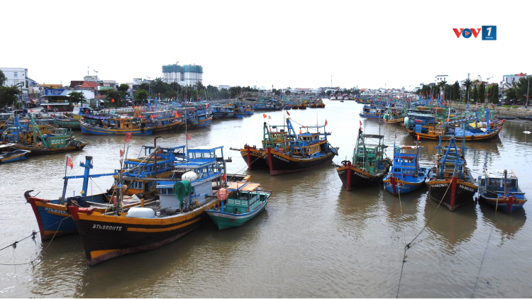 Cửa biển ở Lâm Đồng bị bồi lấp nghiêm trọng, cần sớm nạo vét