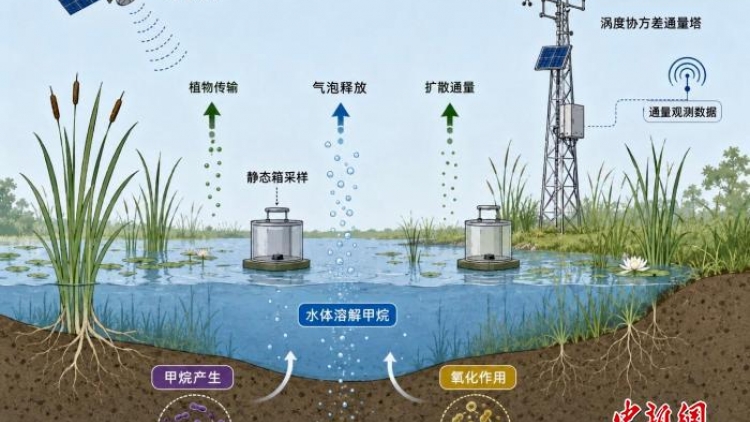 Trung Quốc cảnh báo phát thải methane tăng vì hiện tượng nóng lên toàn cầu