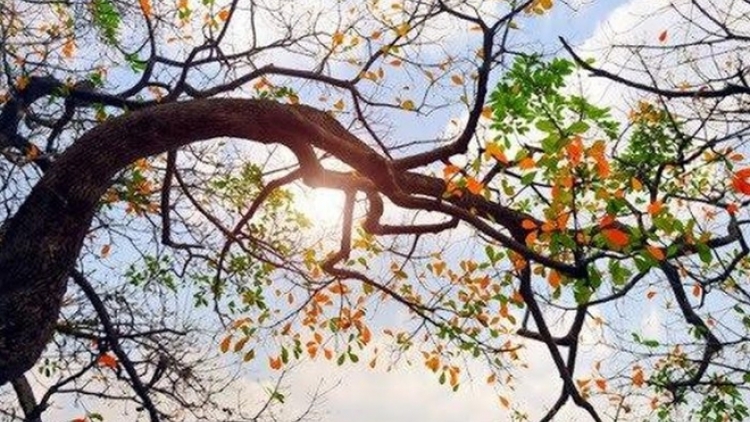 Thời tiết ngày 6/5/2026:  Nhiều nơi đêm xuất hiện mưa rào, ngày nắng