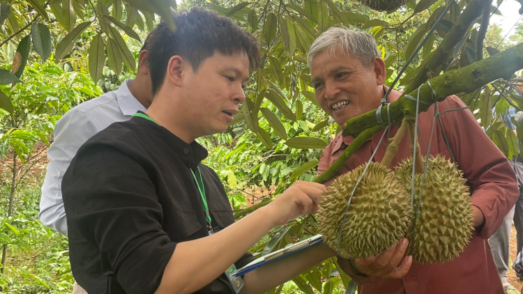 Dòng vốn tín dụng chính sách thay đổi diện mạo buôn làng Đắk Lắk