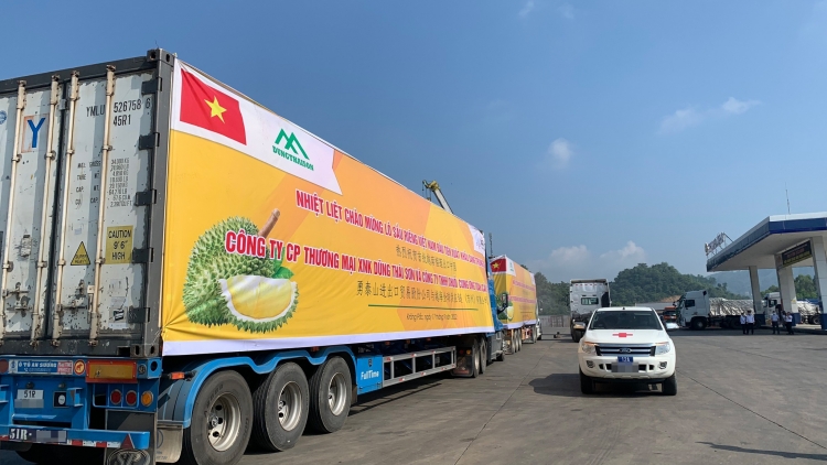 Nông sản Việt: đảm bảo an toàn thực phẩm và kiểm dịch trước quy định mới của thị trường Trung Quốc