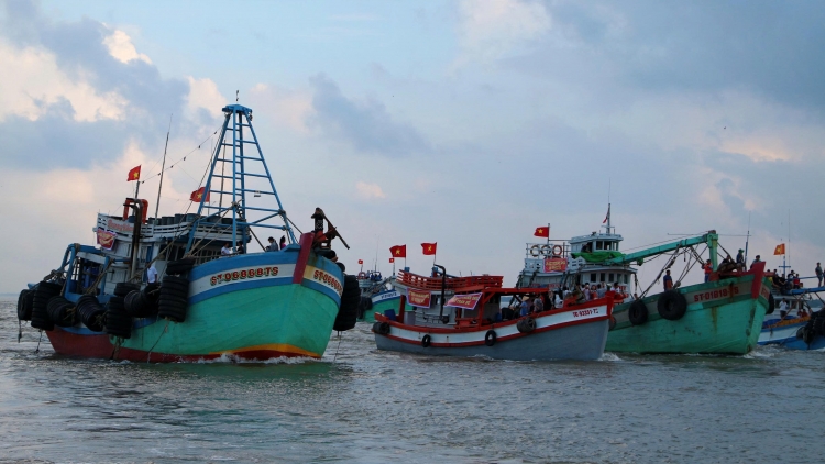 Chặn đường thủy sản bất hợp pháp, khẩn trương gỡ thẻ vàng EC