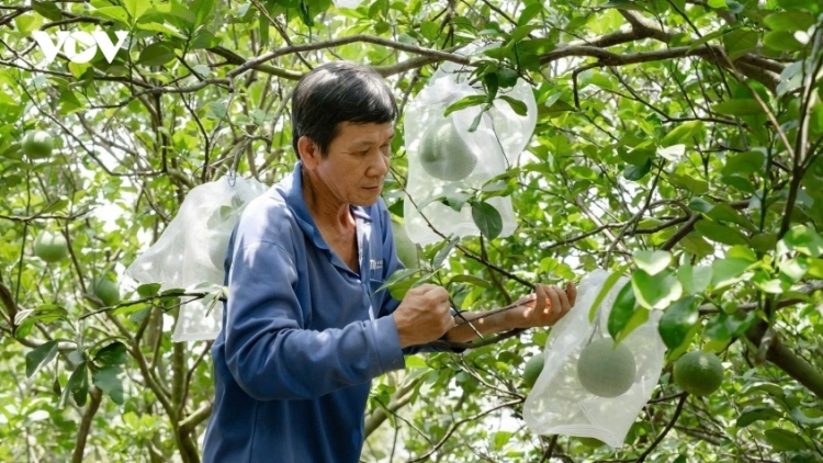 Thời sự 21h30 14/5/2026: Các địa phương phải hoàn tất rà soát việc cấp mã số vùng trồng trước 30/5 