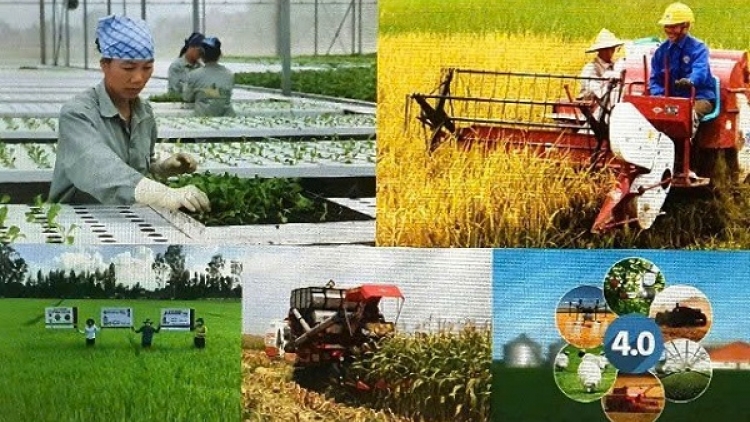 Nông dân Việt Nam – vươn lên trong kỷ nguyên mới (06/06/2026)