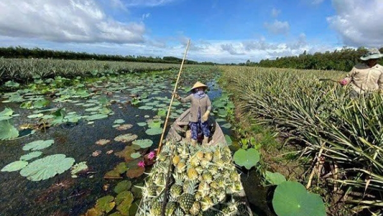 Biến đổi khí hậu và lời giải từ những mô hình sản xuất thích ứng