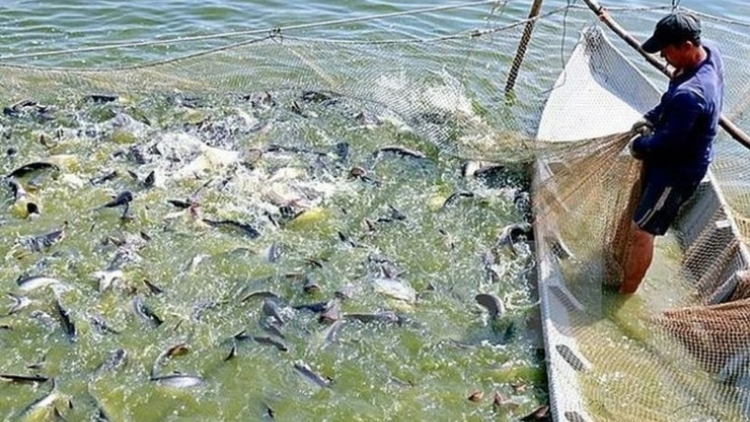 Xuất khẩu nông lâm thủy sản Hà Nội duy trì đà tăng trưởng