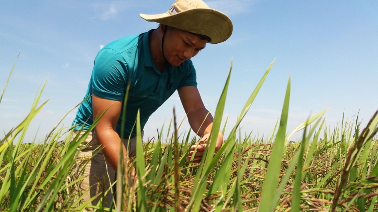 Chàng kỹ sư “đánh thức" hạt giống ngủ đông