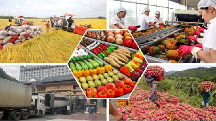 Bản tin 15h 18/6/2026