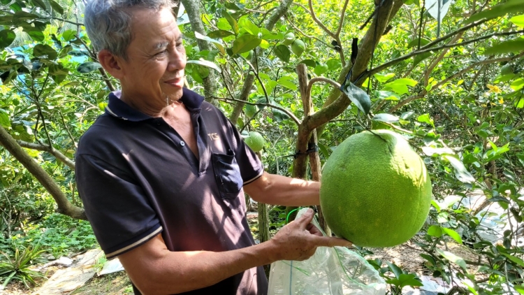 Đồng Tháp: Xây dựng thương hiệu nông sản phục vụ xuất khẩu