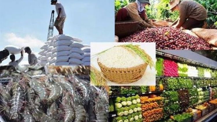Hà Nội công bố 12 thủ tục hành chính lĩnh vực nông nghiệp và phát triển nông thôn