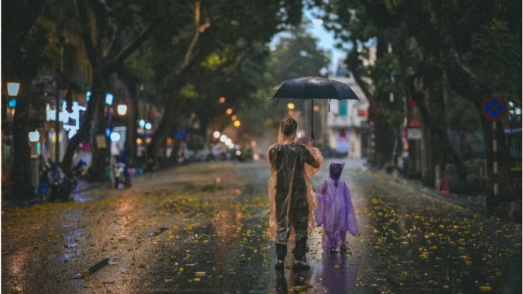  Dự báo thời tiết ngày 10/6/2026: Bắc Bộ mưa dông diện rộng, Trung Bộ duy trì thời tiết dịu mát