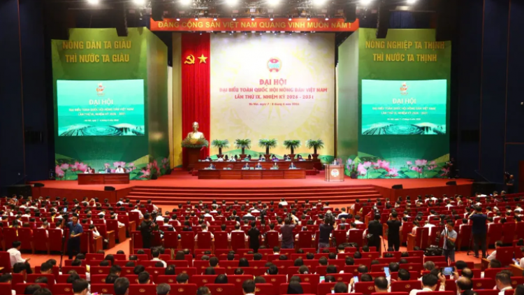 Bản tin 9h 8/6/2026