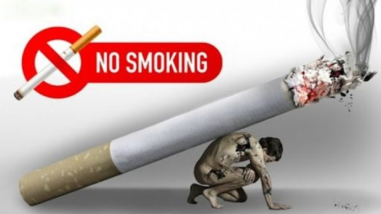 Ngày Thế giới không thuốc lá 31/5