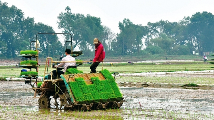 Cơ giới hóa - Động lực phát triển nông nghiệp sinh thái ở Hà Nội