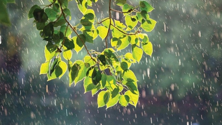 Dự báo thời tiết ngày 16/07/2026: Bắc Bộ mưa dông, Trung Bộ nắng nóng