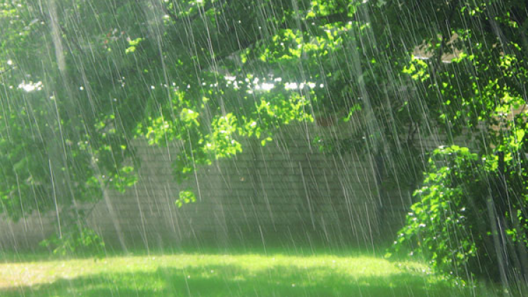 Dự báo thời tiết ngày 25/07/2026: Bắc Bộ mưa lớn, Tây Nguyên và Nam Bộ mưa dông diện rộng