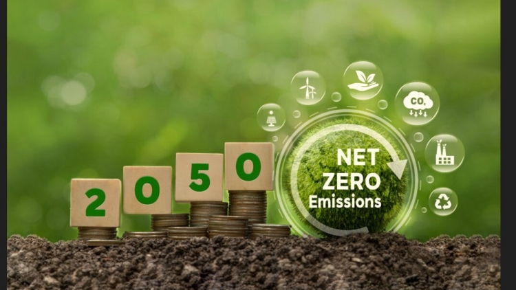 Nhà nước kiến tạo, doanh nghiệp tiên phong để hiện thực hóa con đường tới NetZero