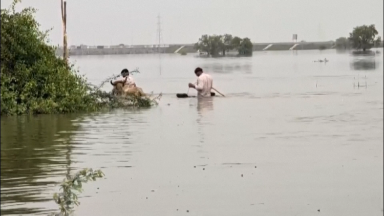 Biển nước bao trùm hai bang Ấn Độ, lực lượng cứu hộ chạy đua với thời gian