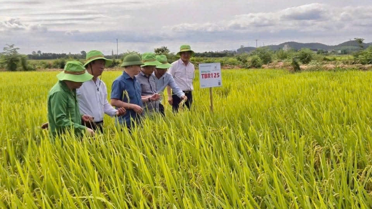 Nông dân thời đại số: Thay đổi cách nghĩ, làm giàu quê hương