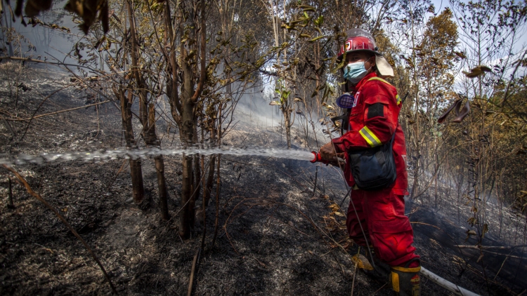 Indonesia xuất hiện hơn 5.000 điểm nóng cháy rừng do hiện tượng El Nino