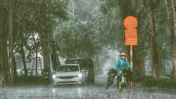 Dự báo thời tiết ngày 31/7: Mưa dông, trời dịu mát